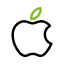 iOS App Development