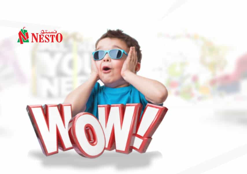 nestogroup-thumb