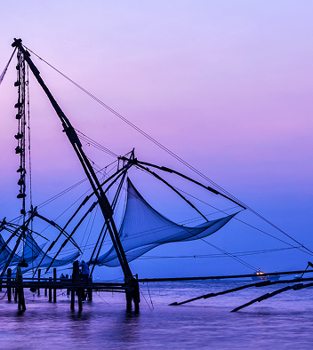 Kochi Kochi